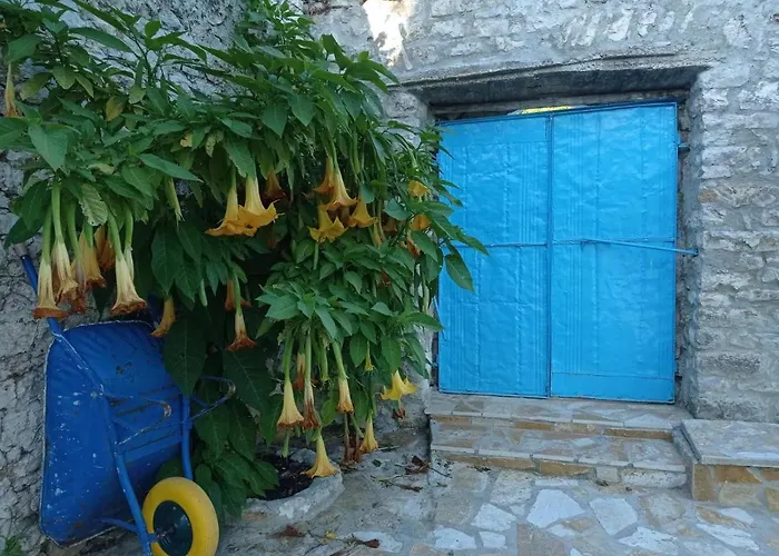 Vakantiehuis Vintage Mediterranean House